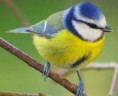 /album/fenykepgaleria/imagesq1wertzuioppppoooouuuuuuuuuuuaelkjhhgfdsaaaaaaaaaayxcvbnm-i0-jpeg/